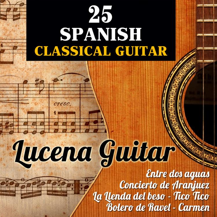 Lucena Guitar's avatar image