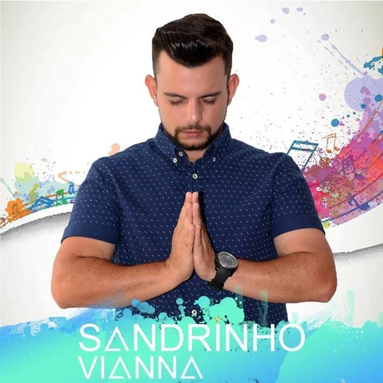 Sandrinho Vianna's avatar image