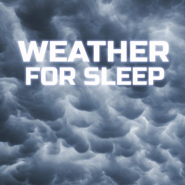 weather forecast's avatar image