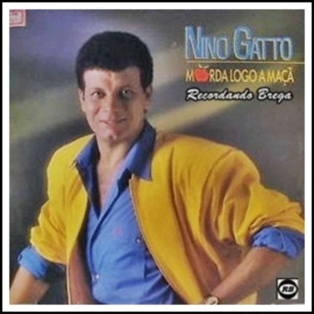 Nino Gatto's avatar image