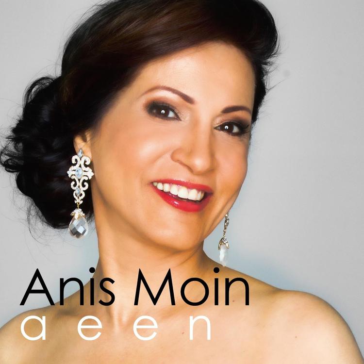 Anis Moin's avatar image