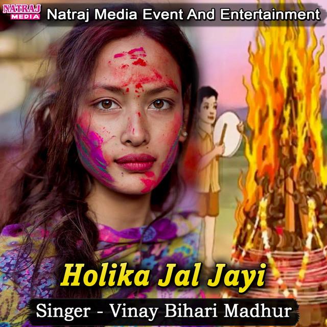 Vinay Bihari Madhur's avatar image