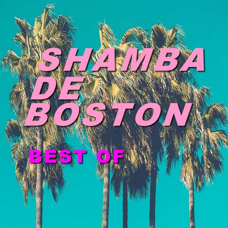 Shamba de Boston's avatar image