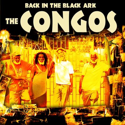 Spider Woman By The Congos's cover