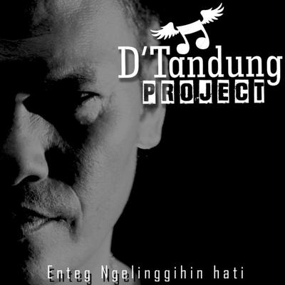 D'Tandung PROJECT's cover