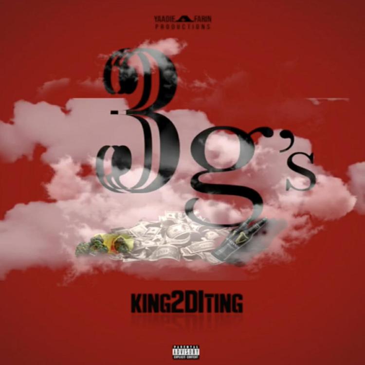 King2DiTing's avatar image
