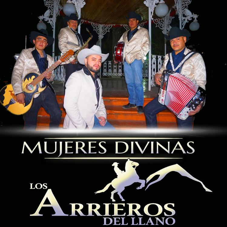 Los Arrieros del Llano's avatar image