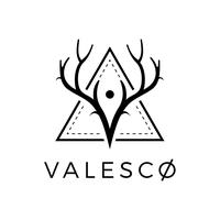 Valesco's avatar cover