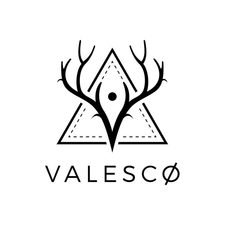 Valesco's avatar image