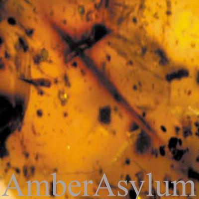 Riviera By Amber Asylum's cover