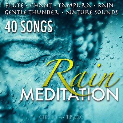 Krishna Meditation's cover