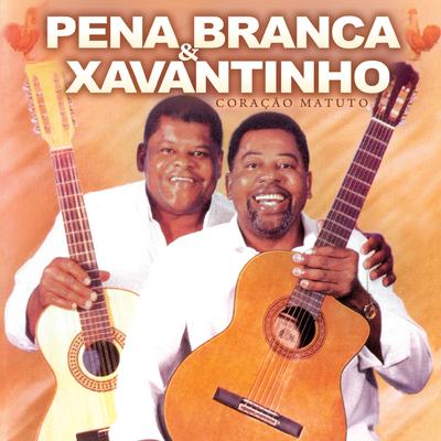 Morro Velho By Pena Branca & Xavantinho, Milton Nascimento's cover