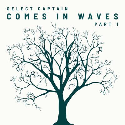 Mind Crashing By Select Captain's cover