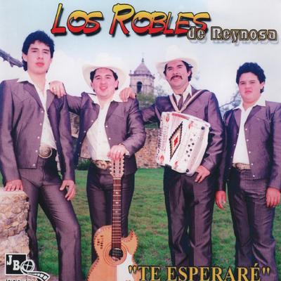 Los Robles de Reynosa's cover