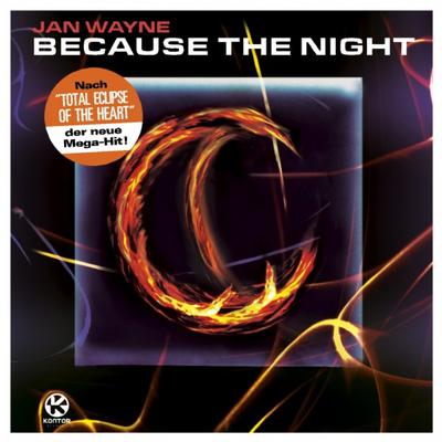 Because the Night (Radio Edit) By Jan Wayne's cover
