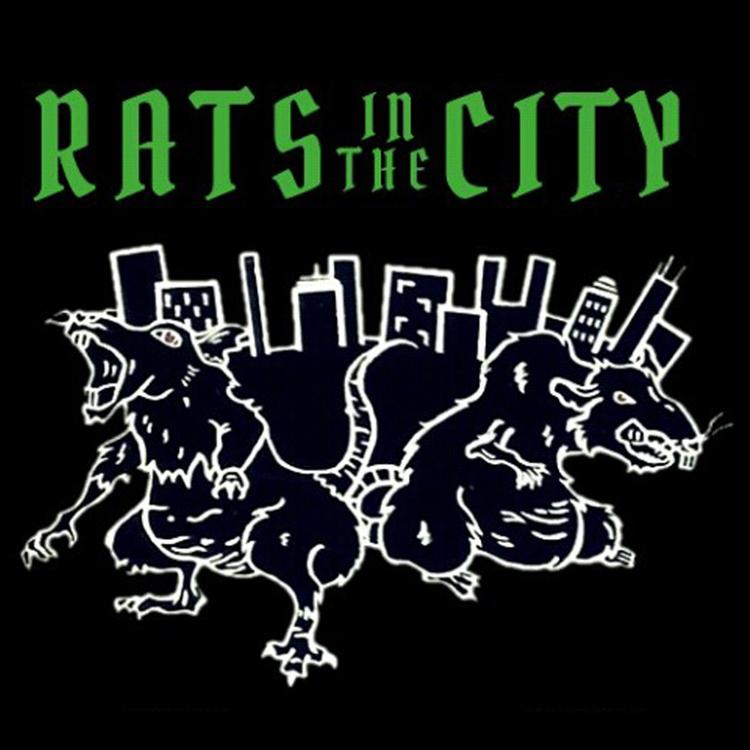 Rats in the City's avatar image