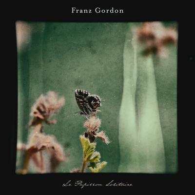 Le Papillon Solitaire By Franz Gordon's cover