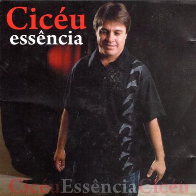 Peleja Nordestina By Cicéu, FLAVIO LEANDRO's cover