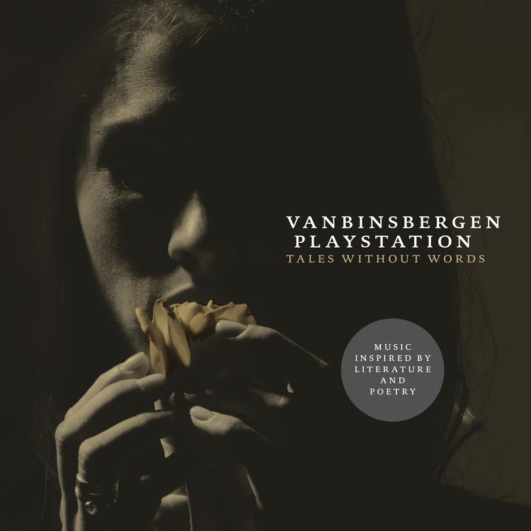 VanBinsbergen Playstation's avatar image