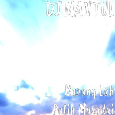 DJ MANTUL's cover