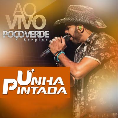 Desculpe Amor (Ao Vivo) By Unha Pintada's cover