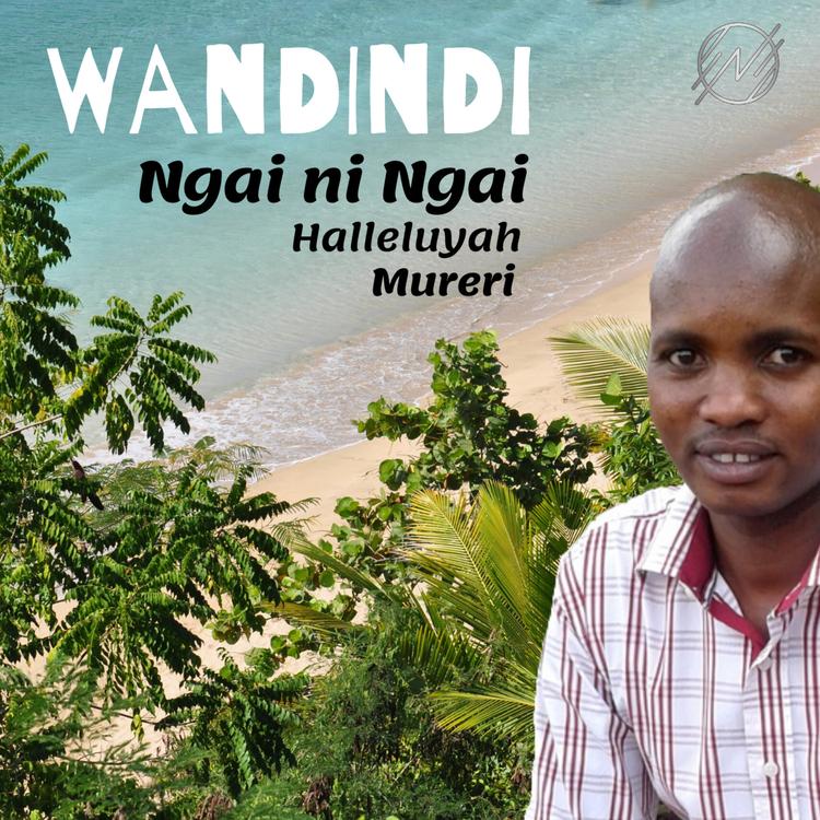 Wandindi's avatar image