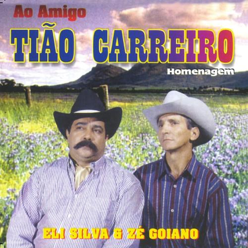 Sertanejo Raízes's cover