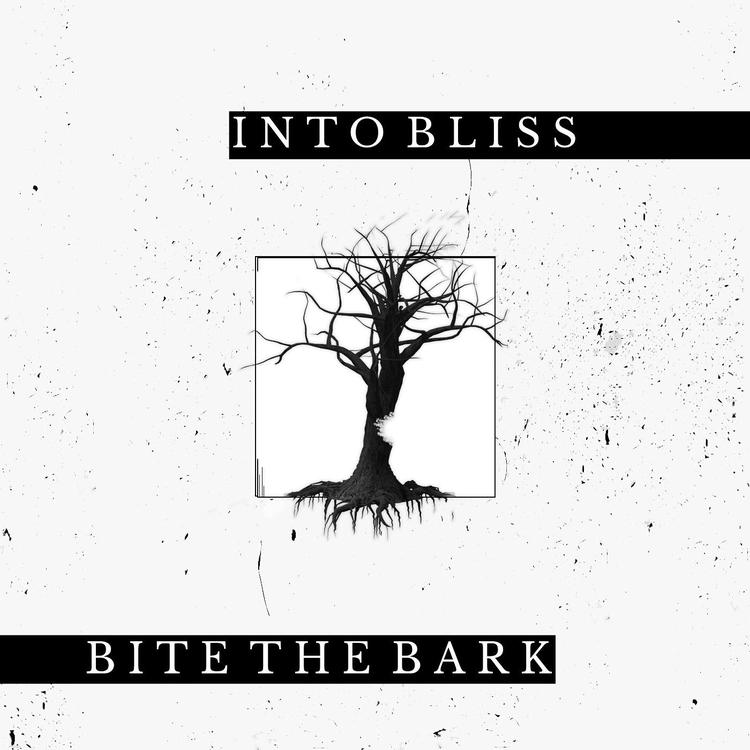 Into Bliss's avatar image