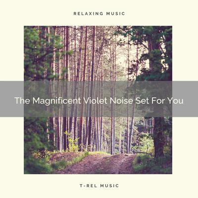 The Magnificent Violet Noise Set For Your Baby's cover