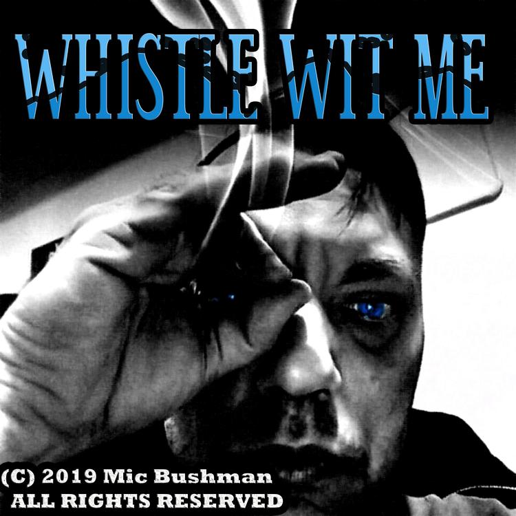 Mic Bushman's avatar image