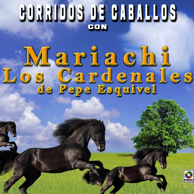 Mariachi Los Cardenales De Pepe Esquivel's avatar image