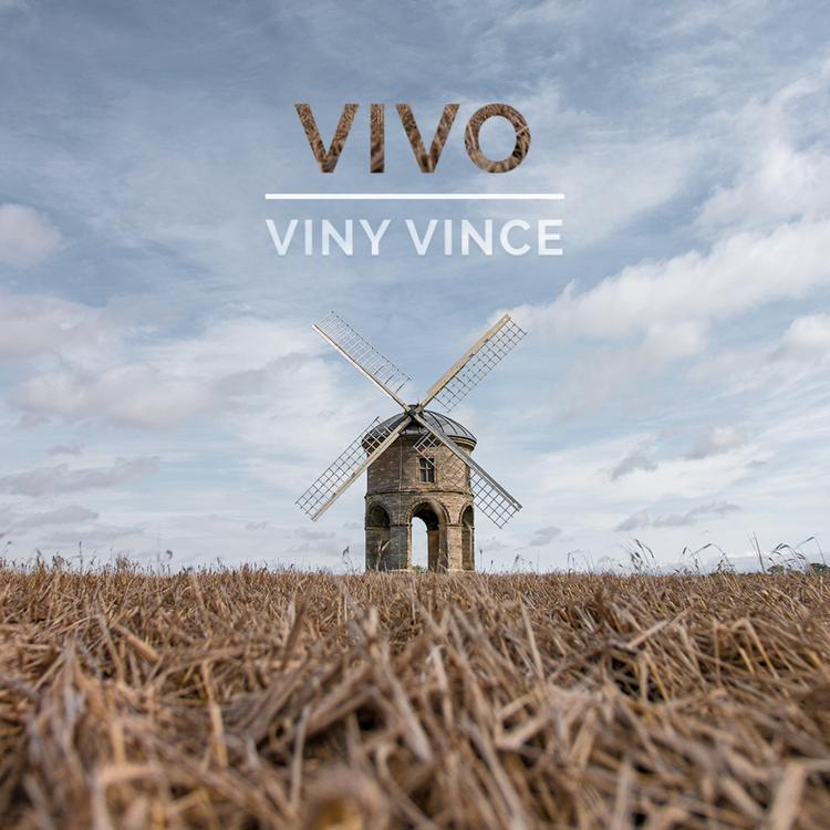 Viny Vince's avatar image