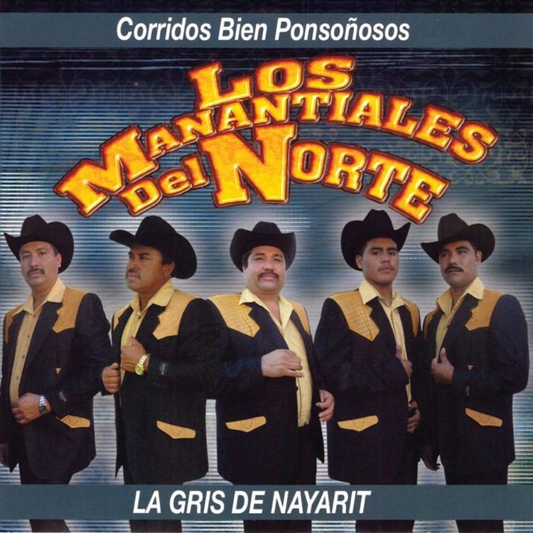 Los Manantiales Del Norte's avatar image