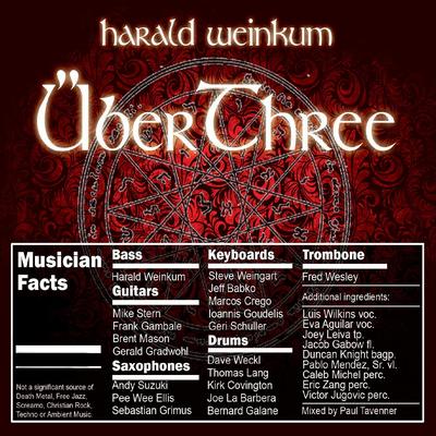 Got a Match? (Version 3.4) [feat. Dave Weckl & Frand Gambale] By Harald Weinkum, Dave Weckl, Frand Gambale's cover