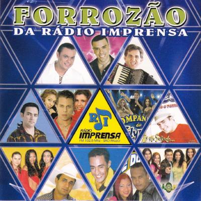 Dança das Gatinhas By DJ Maluco, Banda Forró Dance's cover