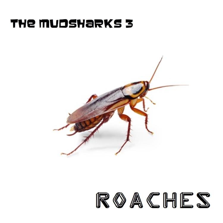 The Mudsharks 3's avatar image