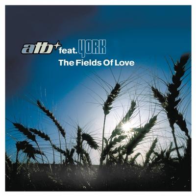 The Fields of Love (York Remix)'s cover