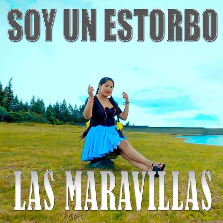 Las Maravillas's avatar image