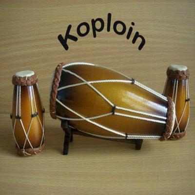 Koploin's cover