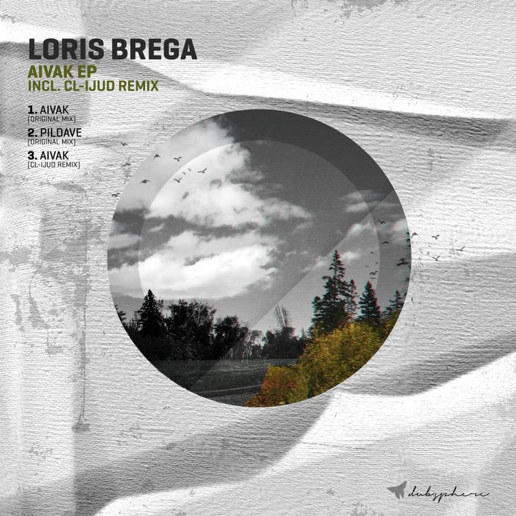 Loris Brega's avatar image