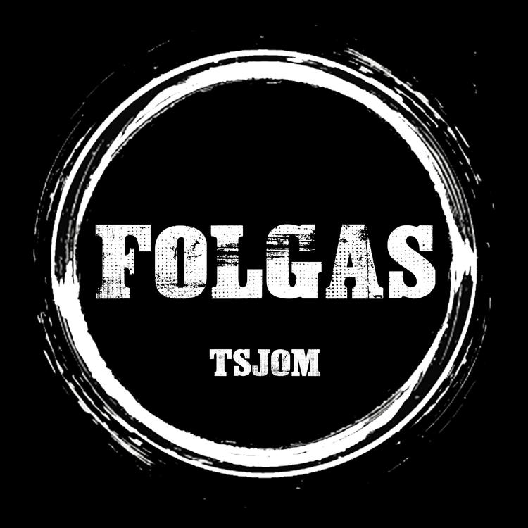 Folgas's avatar image