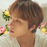 HAECHAN's avatar cover