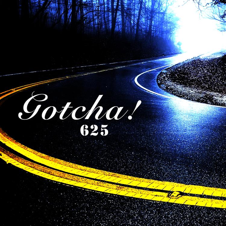 Gotcha's avatar image