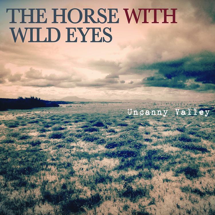 The Horse With Wild Eyes's avatar image