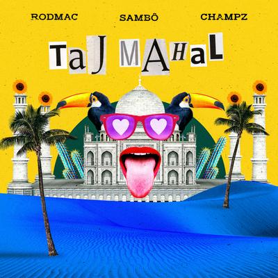 Taj Mahal's cover