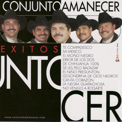 Erros De Los Dos By Conjunto Amanecer's cover