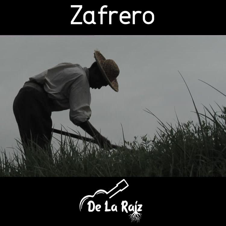 De la Raíz's avatar image