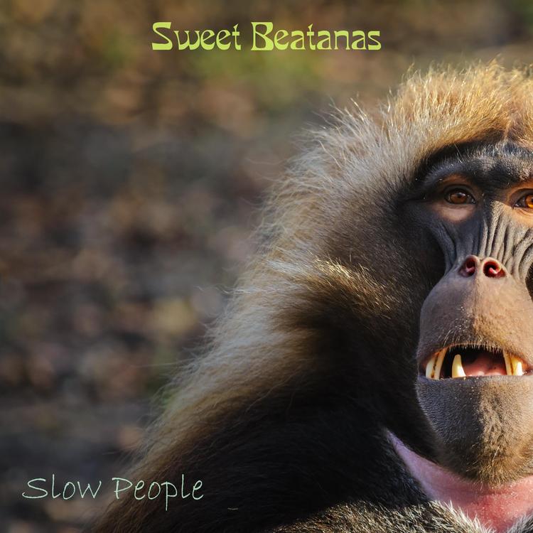 Slow People's avatar image