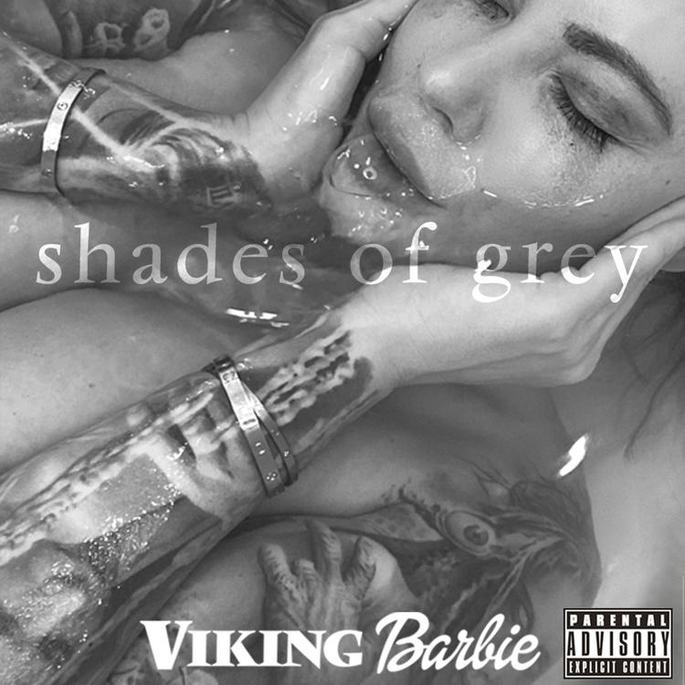 Viking Barbie's avatar image
