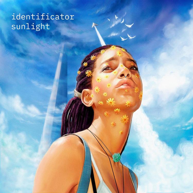 Identificator's avatar image